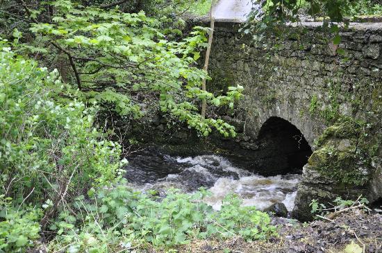 The Abbey Mill Bridge is said to be the oldest bridge in Ireland.