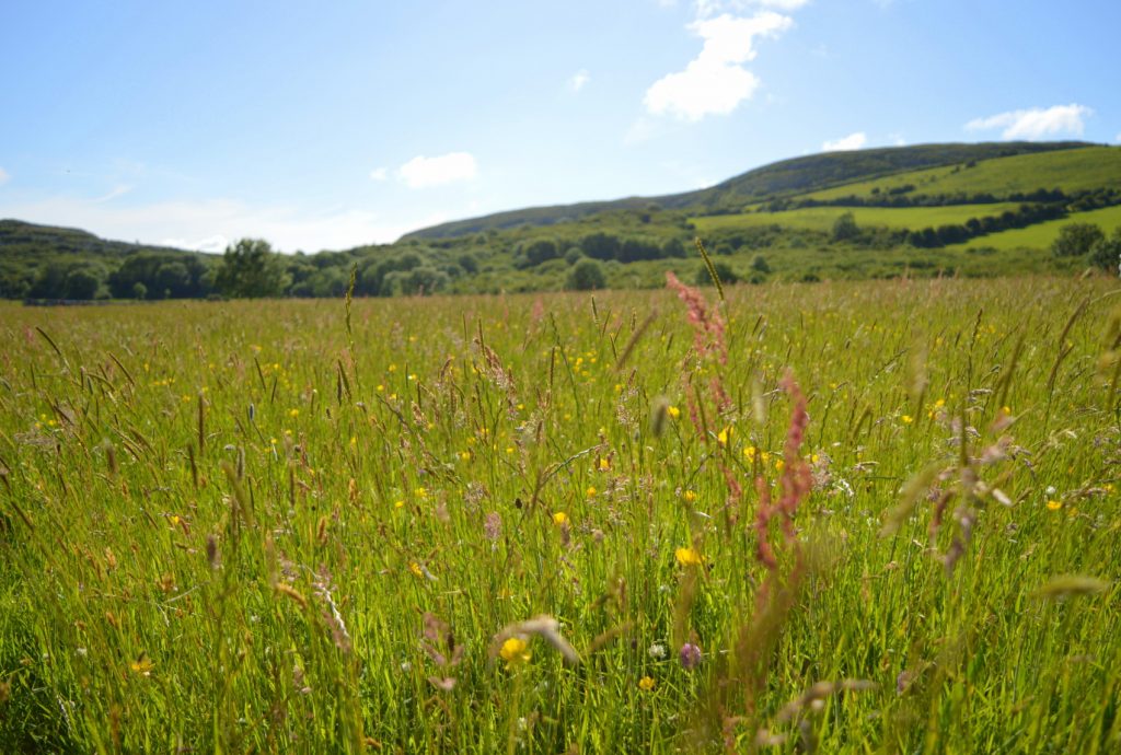 The Irish first day of spring was traditionally held on the first of February and celebrated in the festival of Imbolc.