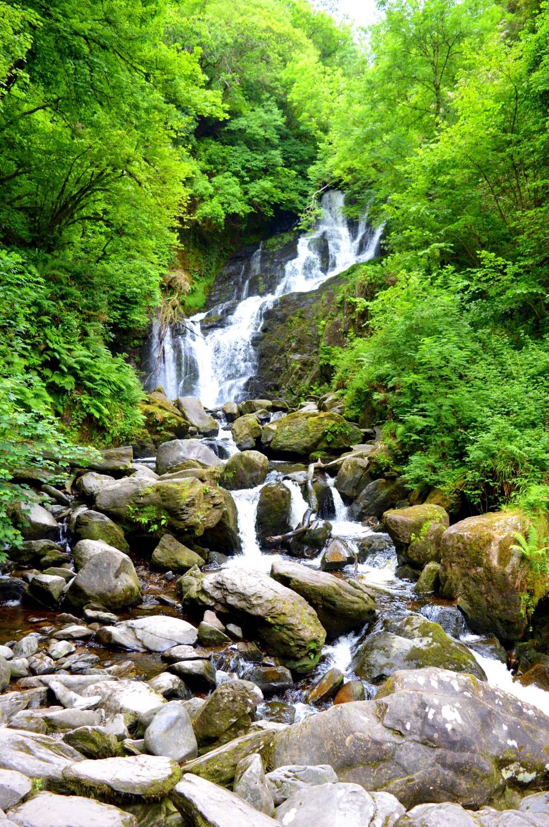 Næb linje vulkansk Top 10 Natural Wonders of Ireland & Where To Find Them | Ireland Before You  Die