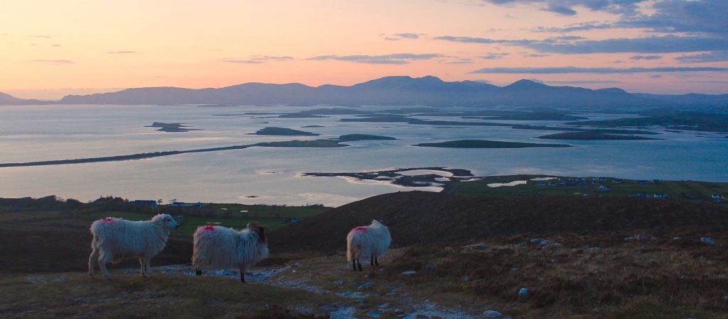 A visit to Clew Bay is one of the top things to do in Mayo.