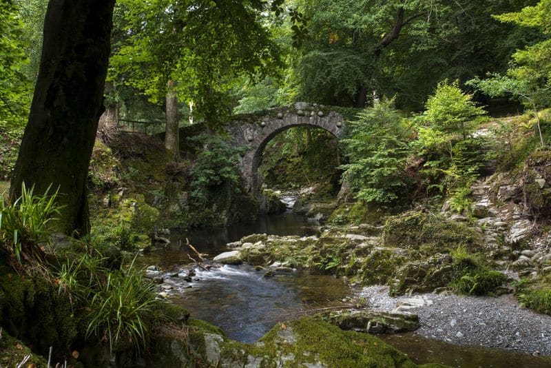 Tollymore is one of 10 beautiful places to visit in Northern Ireland