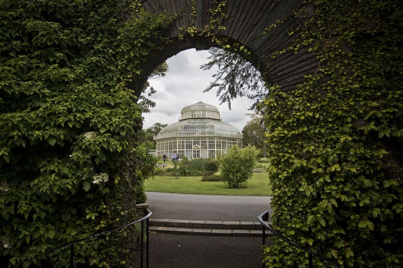 10 fun yet free things to do around Dublin on a sunny day include the Botanic Gardens
