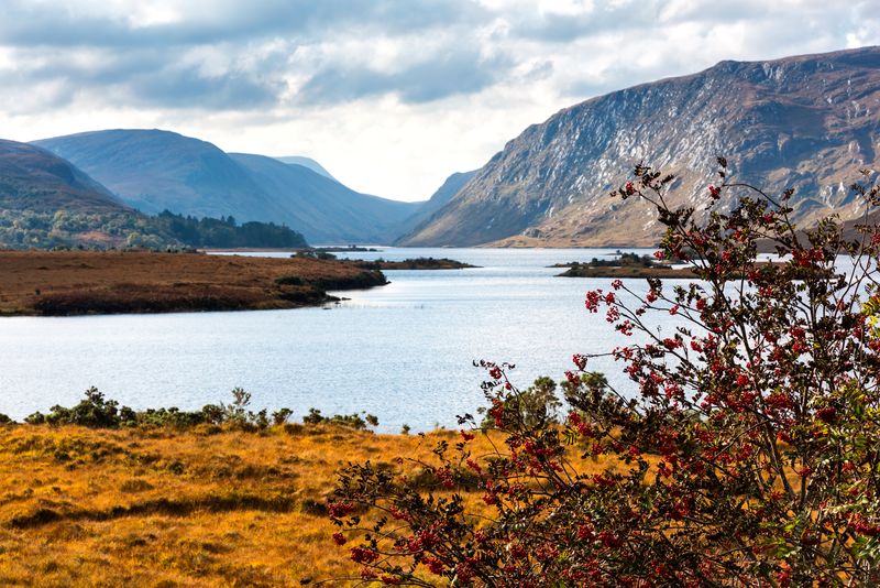 On your final day of adventure, head inland to Glenveagh National Park.