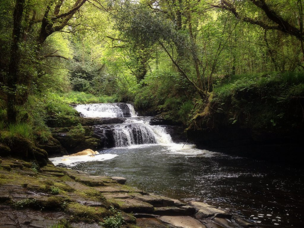 Clare Glens Waterfall is one of the beautiful waterfalls in Ireland you can swim in.