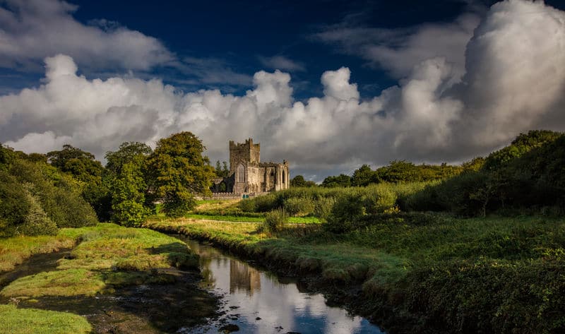 Tintern Abbey is one of the 10 best things to see along the south coast of Ireland
