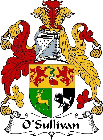 O'Sullivan is one of the 20 most common surnames in Dublin