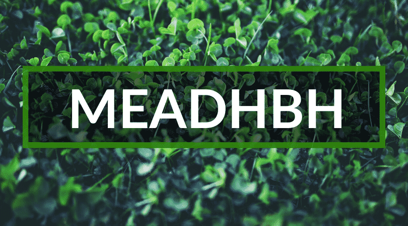 Meadhbh is a beautiful Irish name but is difficult to say. It's one of the top weird Irish names.