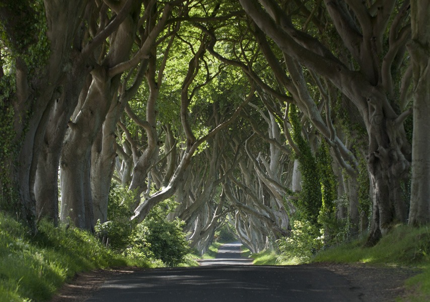 All fans of Game of Thrones have to take a tour of the country, a must-see.