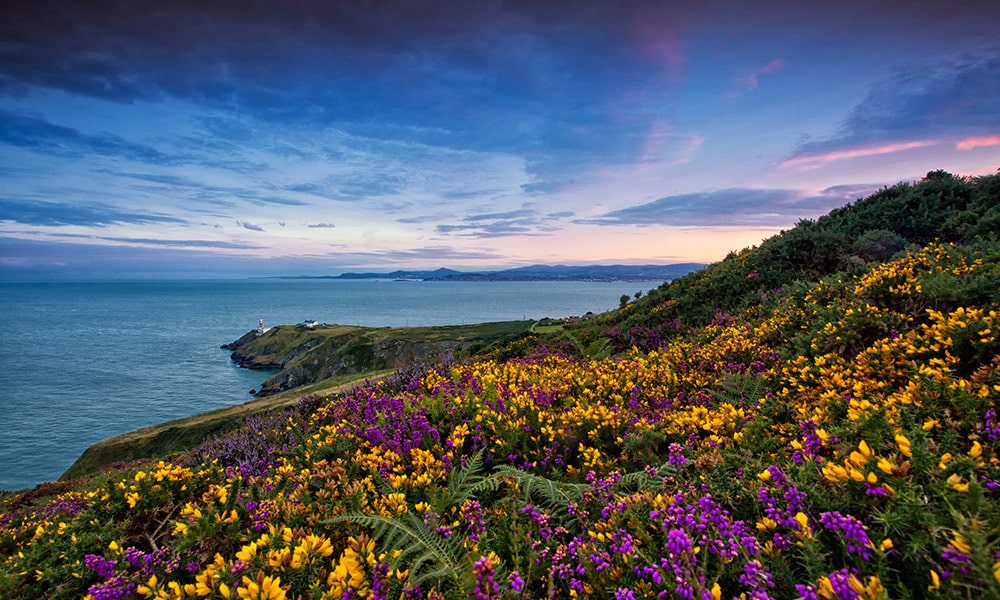 Make Howth part of your two-day itinerary in Dublin