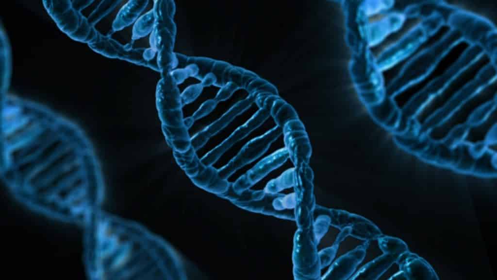 A "giant" gene is prominent in a part of Ireland 