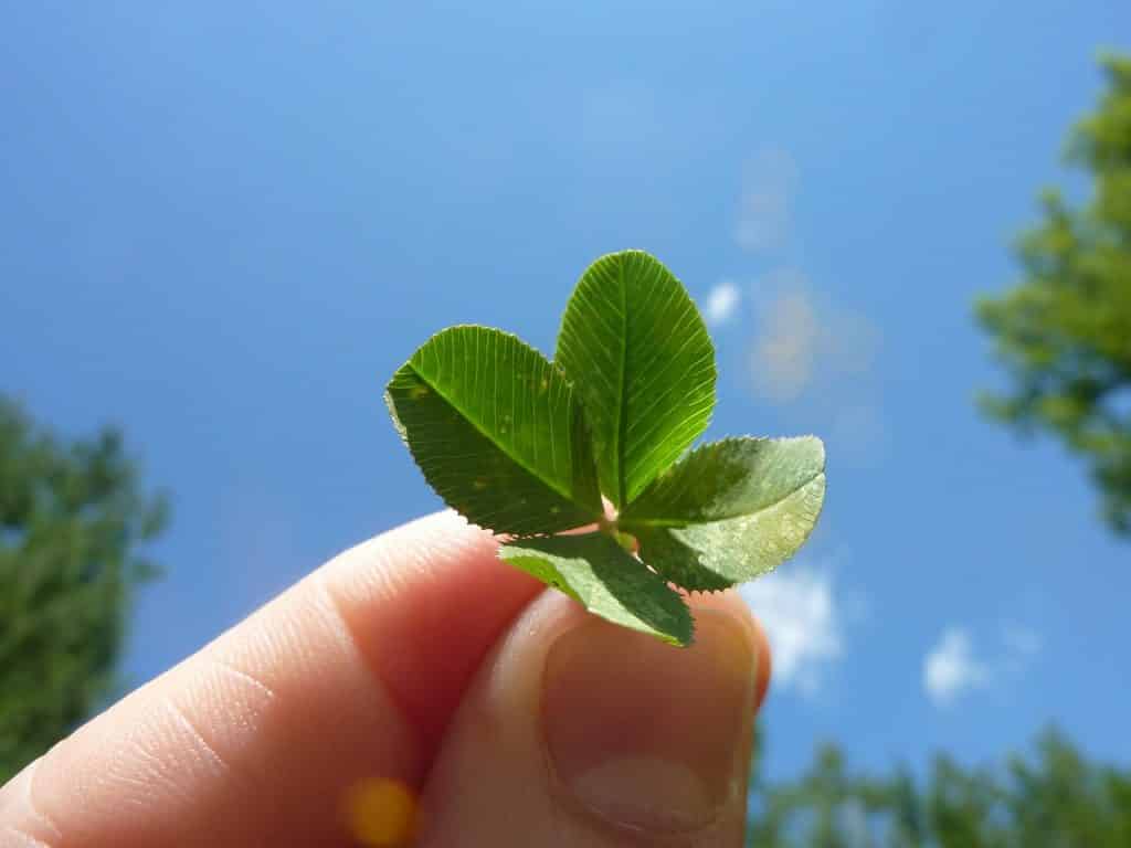 Clovers show up frequently in our short Irish jokes for kids.