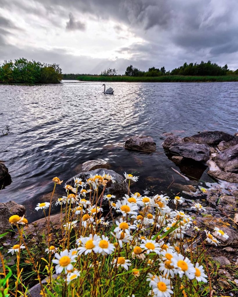 Lough Boora Discovery Park is one of the best hikes and walks in County Offaly