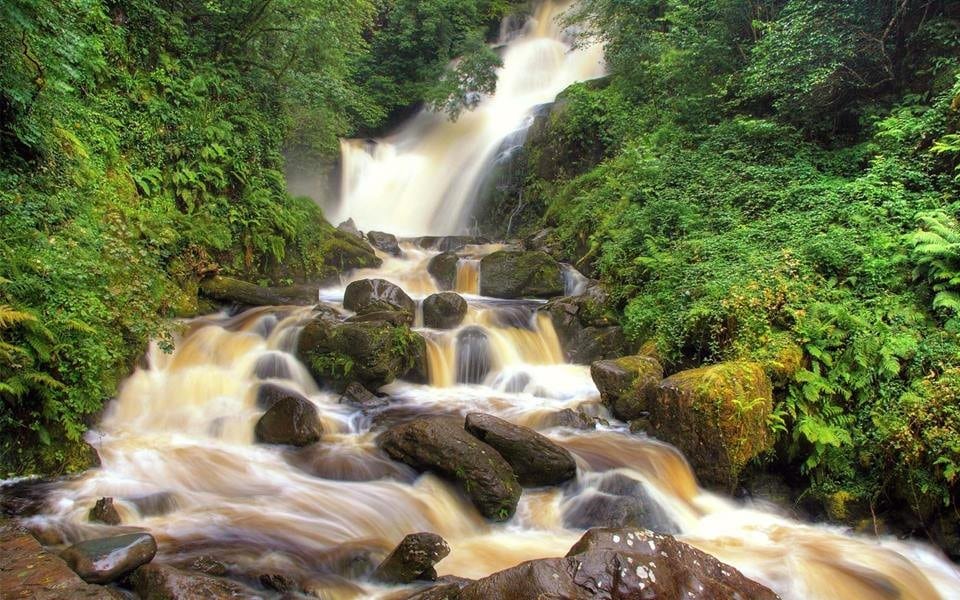 Killarney National Park should be included in your Irish road trip around Kerry