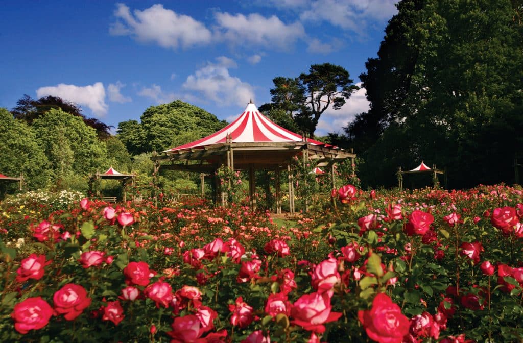 Sir Thomas and Lady Dixon Park is one of the best things to do in Belfast.