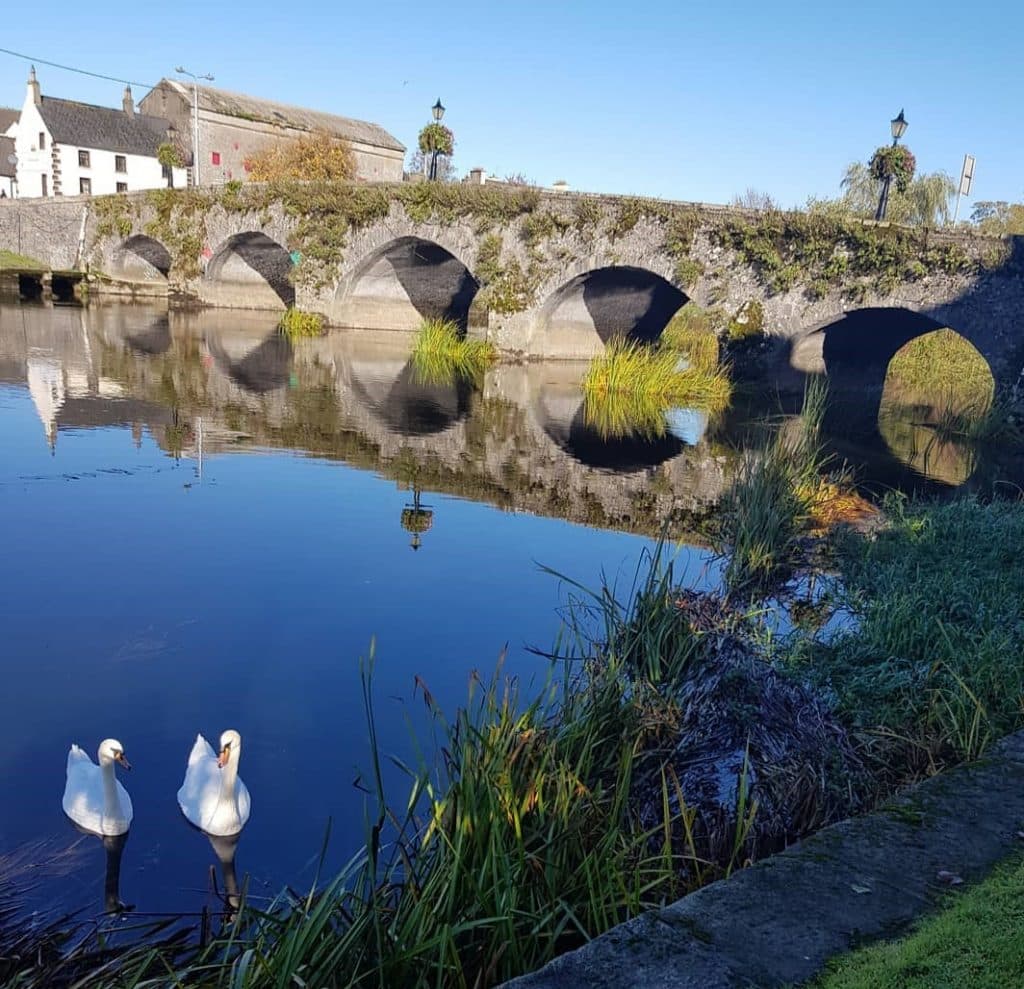 County Carlow in Ireland has the oldest working bridge in Europe (1 fascinating fact about every county in Ireland)