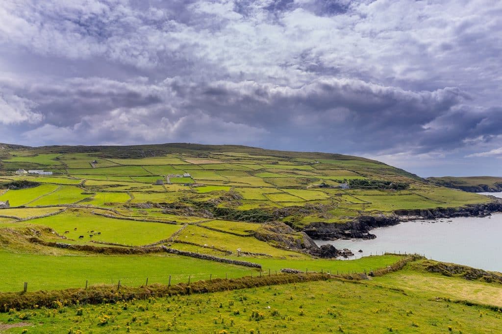 Here are the 20 best sayings from Ireland