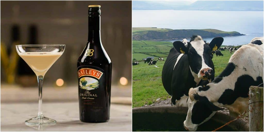 Baileys facts: 10 things you didn't know about the Irish liqueur