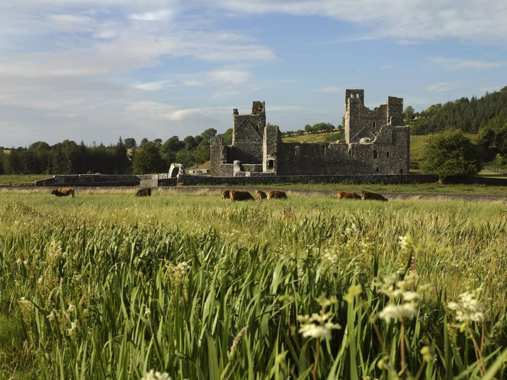 Fore Abbey is one of the top 10 medieval ruins in Ireland