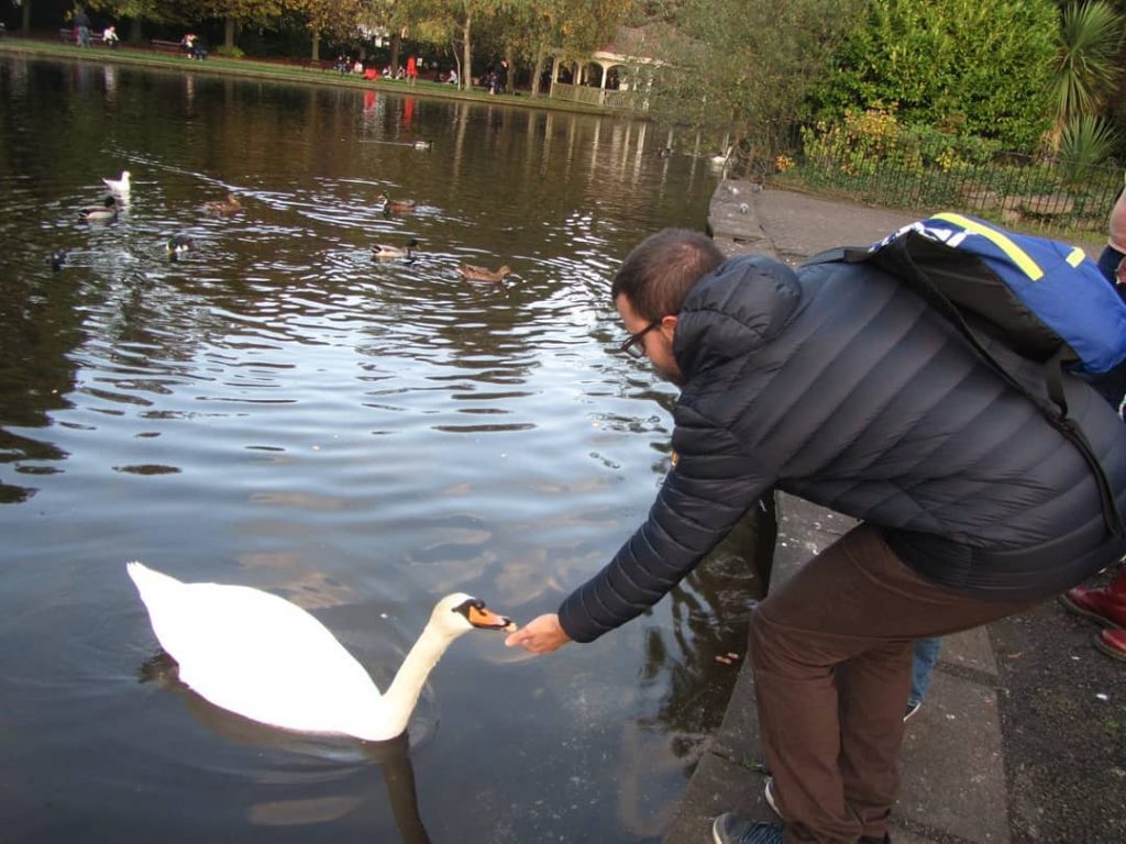 Feeding the birds at St. Stephen's Green is one of our 10 romantic but cheap date ideas in Dublin