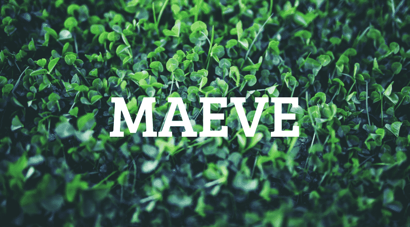 Maeve is another of our top 10 Irish first names no one can pronounce, there are so many vowels inside of it.