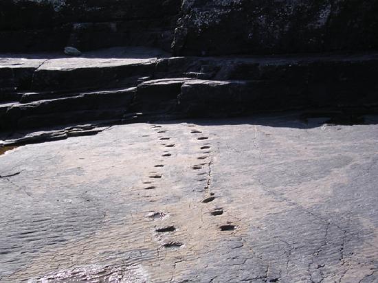 Valentia Island is home to archaeological tetrapod tracks.