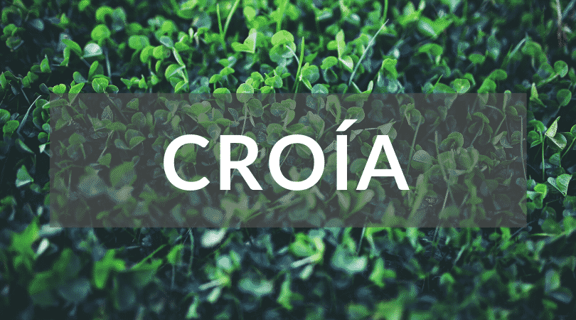 Croía is a great Irish name, especially for a sweet little girl.