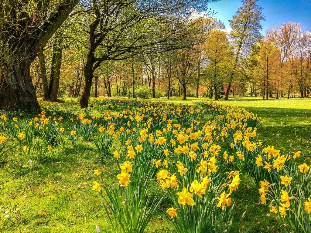 In Spring, Ireland blooms with plants and flowers and the weather is ideal.