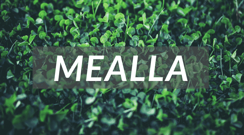 Mealla is a pretty name for a girl, as well as a unusual Irish girl name.