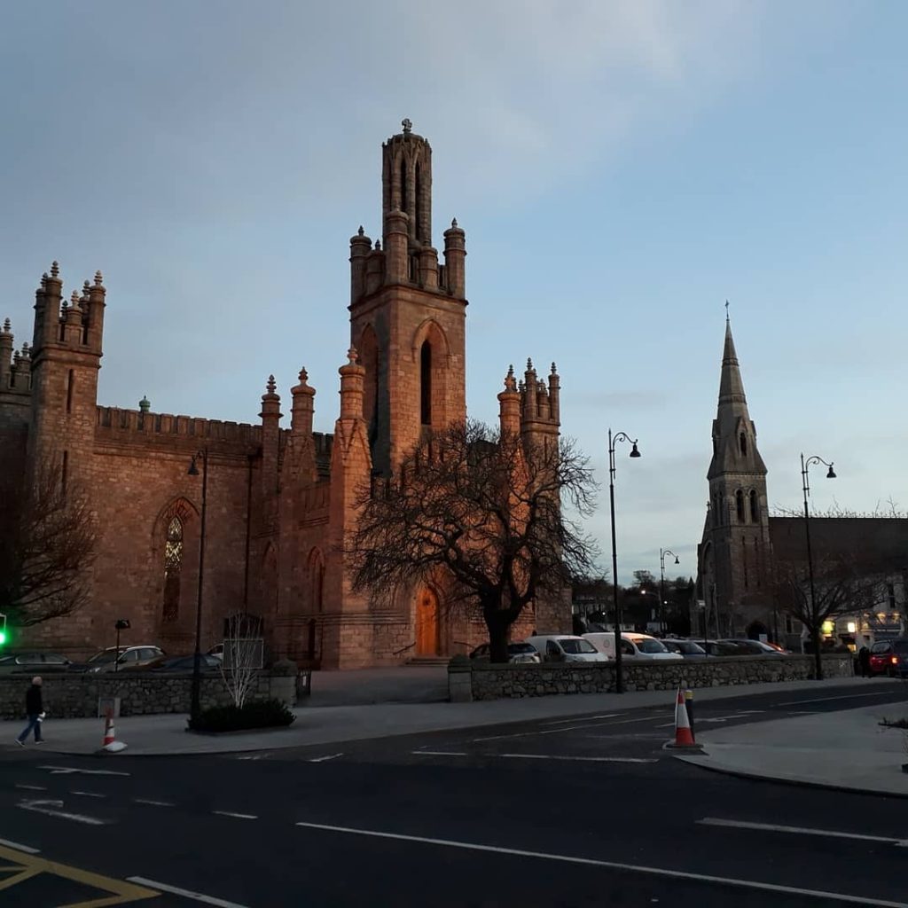 The spider was spotted in Monkstown, Dublin