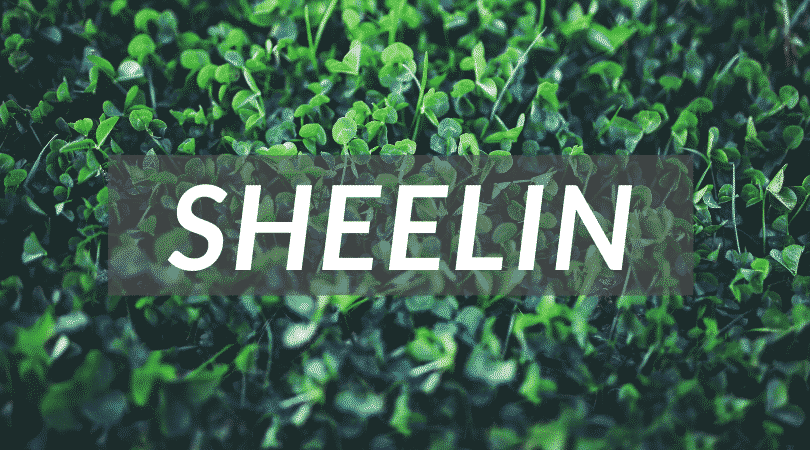 Sheelin is a pretty name that means "fairies", why not give it to your little girl, just another unusual Irish girl names.