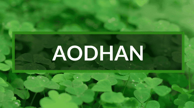 Aodhan is an Irish name meaning little fiery one.