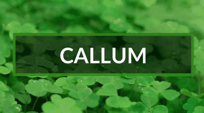 Callum means dove and is the Gaelic form of Columba.