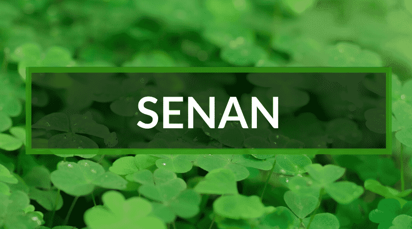 If your child is a little wise person, then pick Senan for their name.