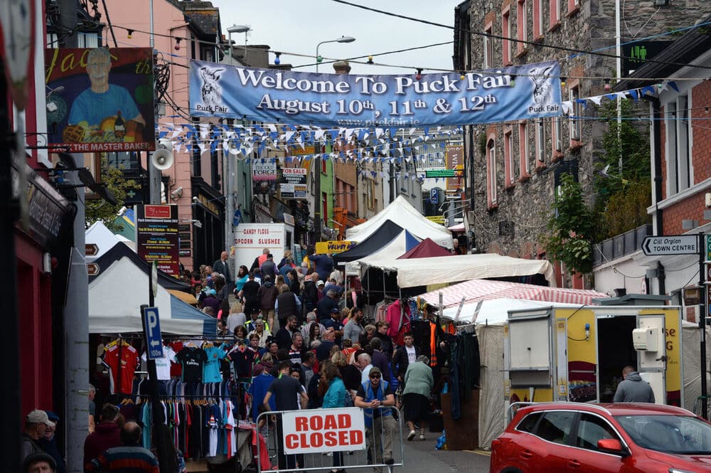 Attend the Puck Fair – Ireland's oldest festival.