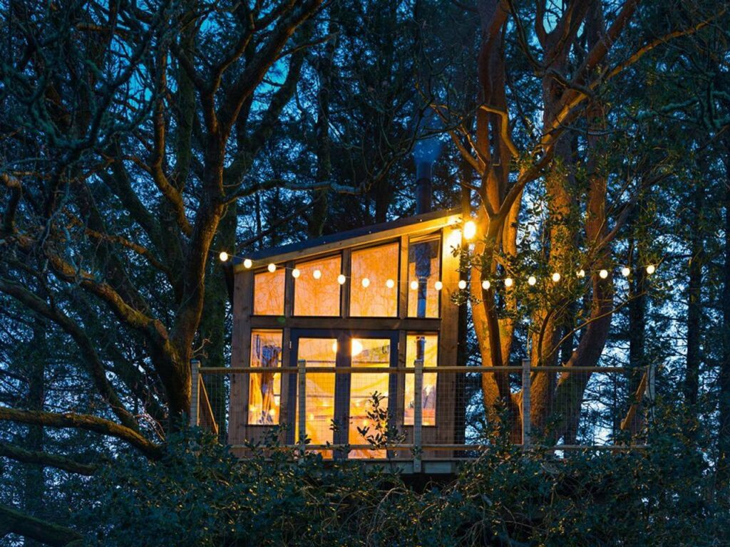 Live out your childhood dream in this Donegal tree-house. 