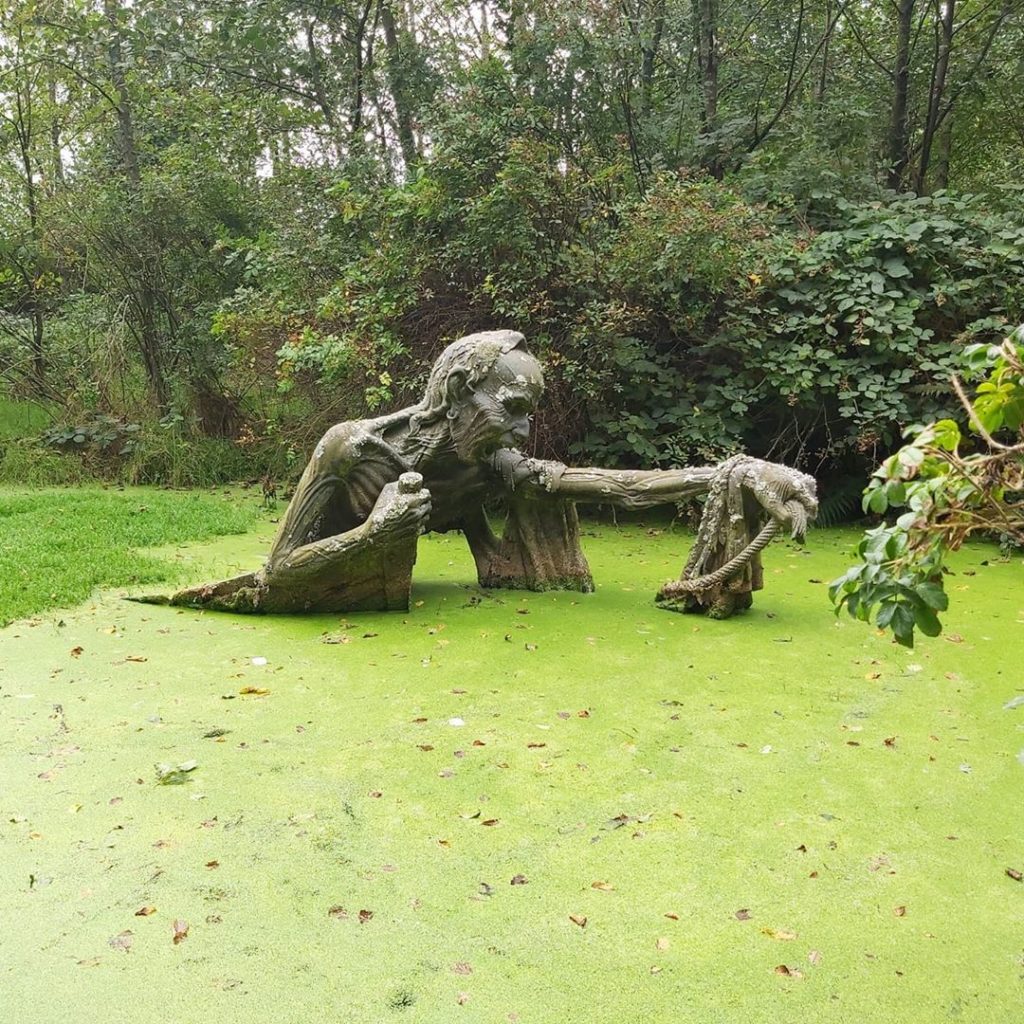 This Creepy Park In Ireland Has Some Of The Most 