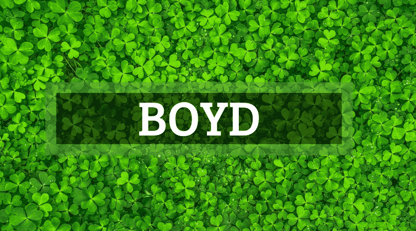 Boyd is another of the top Irish surnames that are actually Scottish.