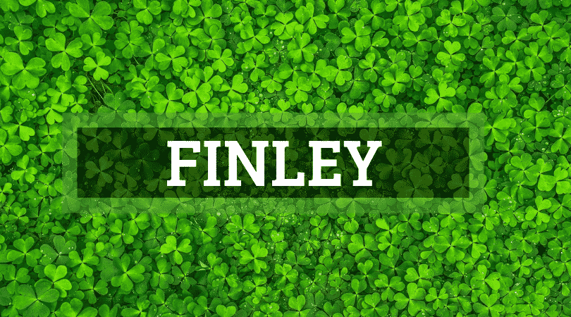 Another of the top Irish surnames that are actually Scottish is Finley.