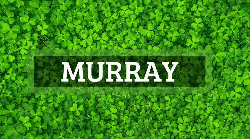 Another of the top Irish surnames that are actually Scottish is Murray.