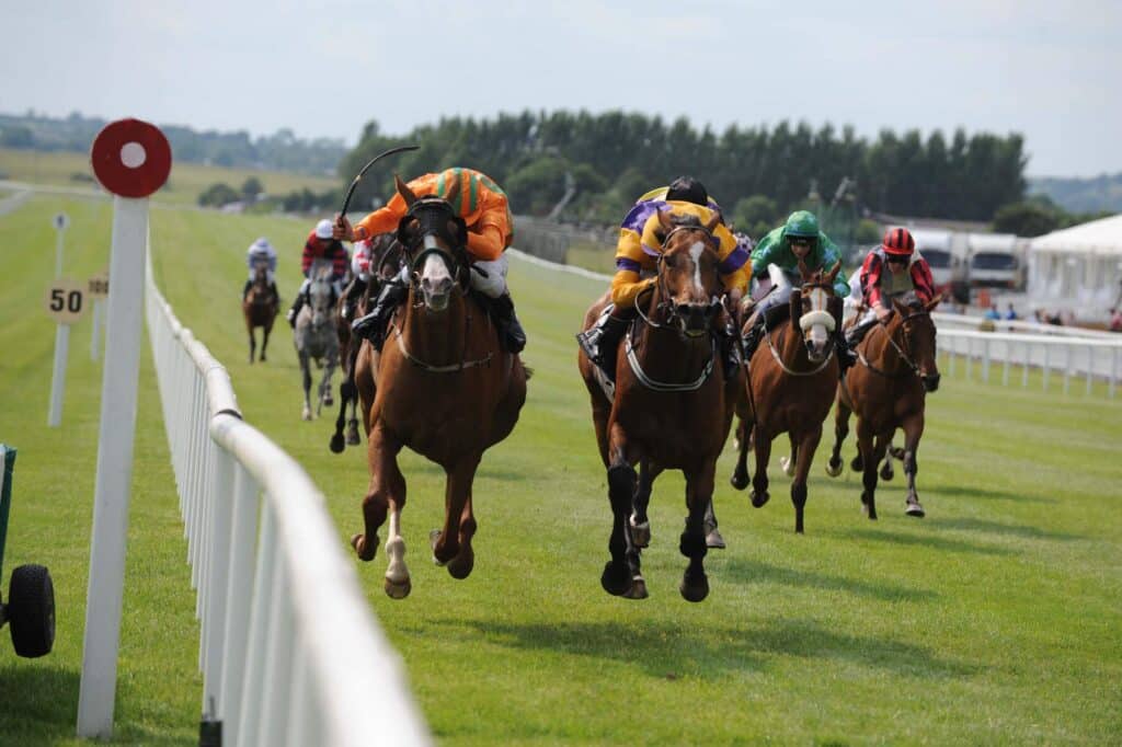 Horse racing is popular in Ireland.