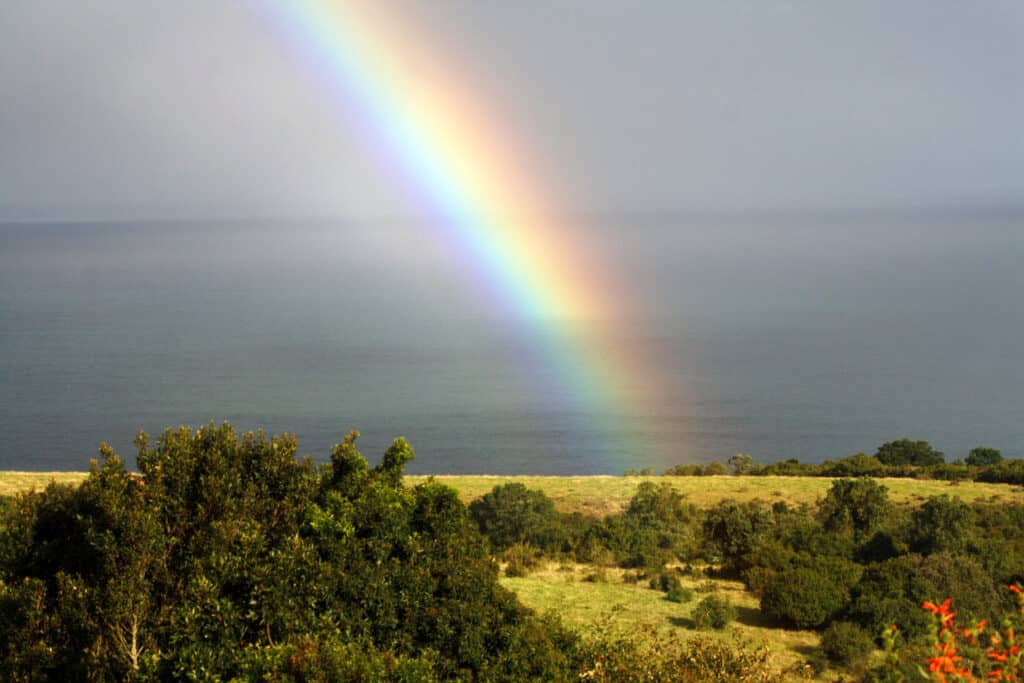 Chase the end of the rainbow.