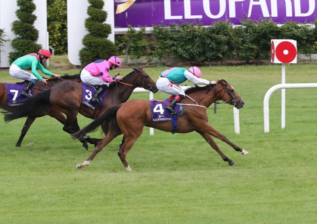 Leopardstown Racecourse is next on our list of places to place a bet in Ireland.