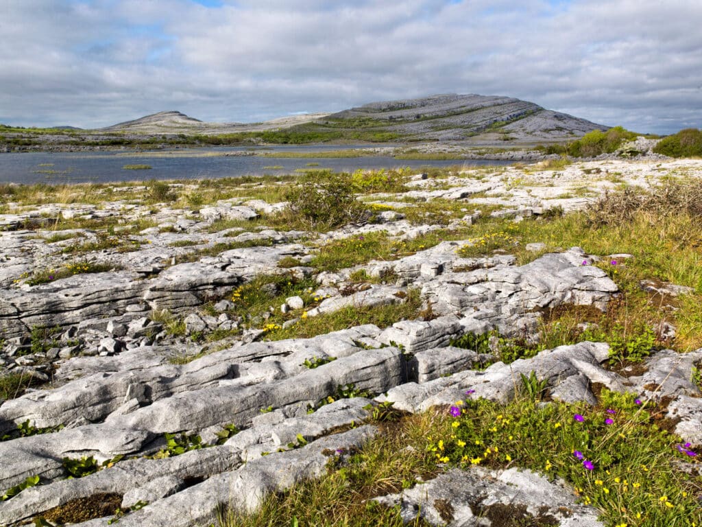 Burren is a great place to see.