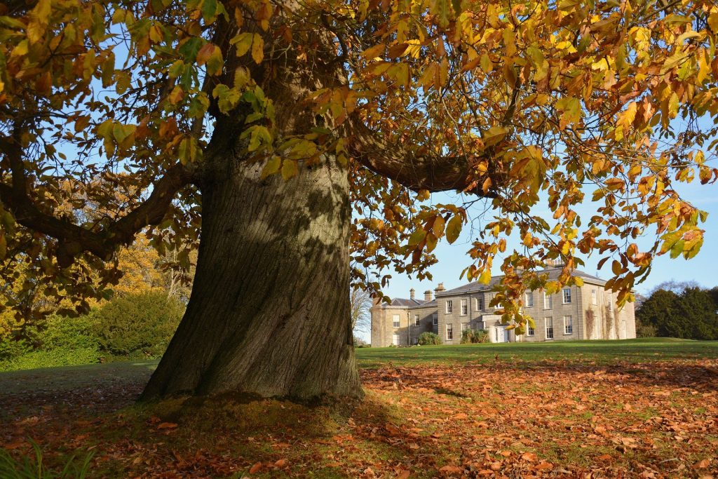 Autumn is the best time to visit Ireland.