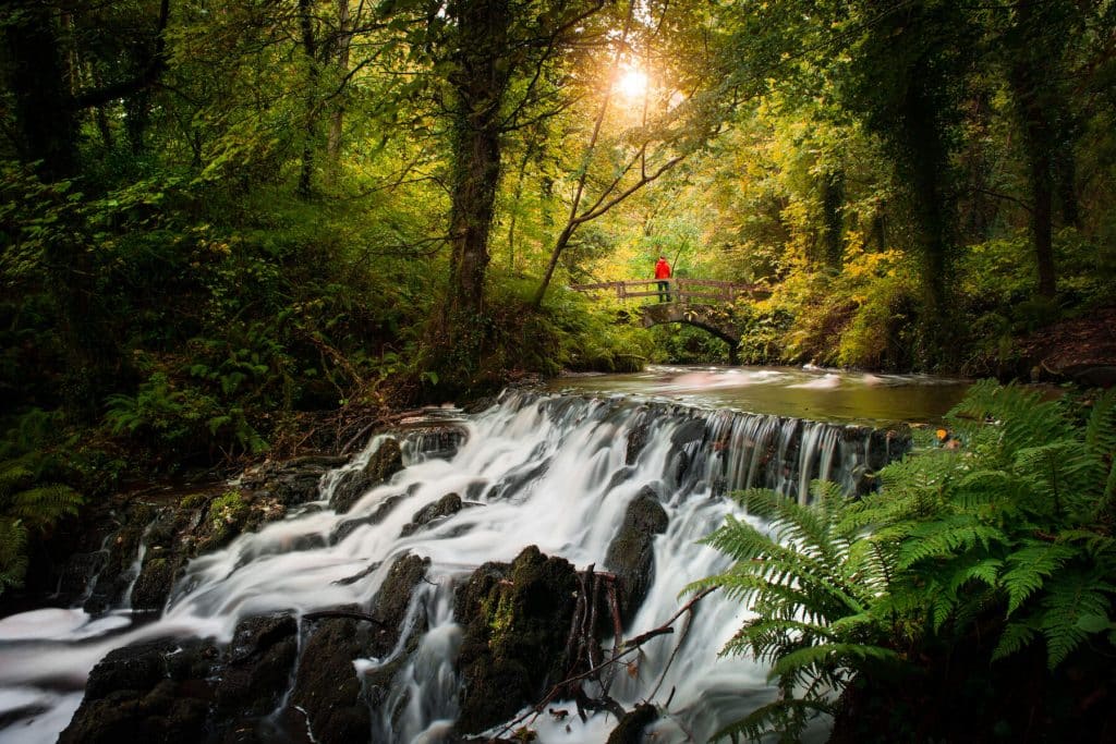 Dún na Rí Forest Park is one of the best things to do in Cavan, Ireland.