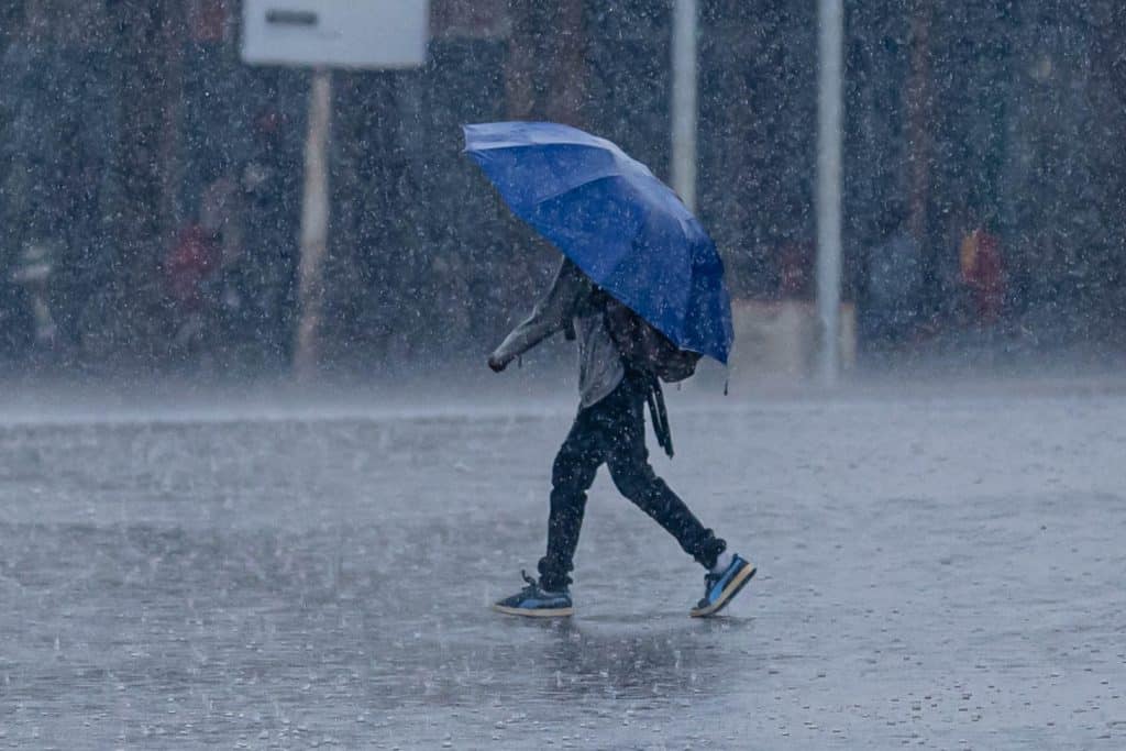 One of our suggested activities will keep you busy on a rainy day.