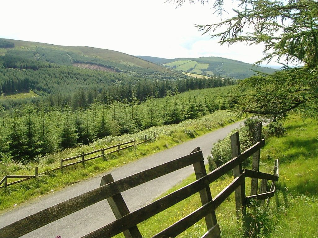 The Slieve Bloom Mountains are the perfect spot for avid walkers.