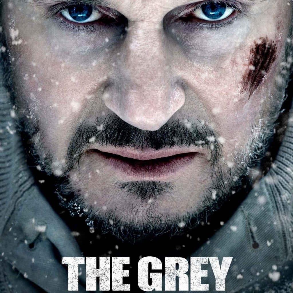 The Grey is an exciting thriller.