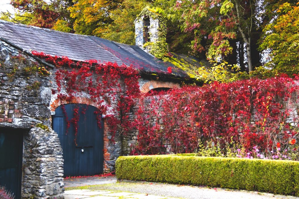 Prices at Bunratty Castle and Folk Park vary.
