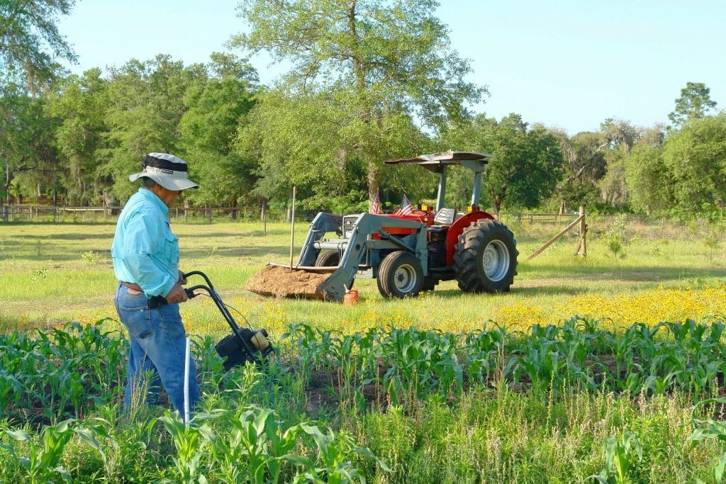 Stay on a working farm.